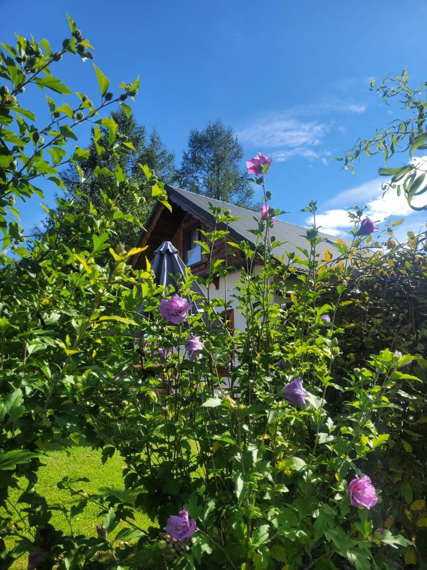 Na Szlaku - Domki Do Wynajecia Rabka-Zdrój Exterior foto